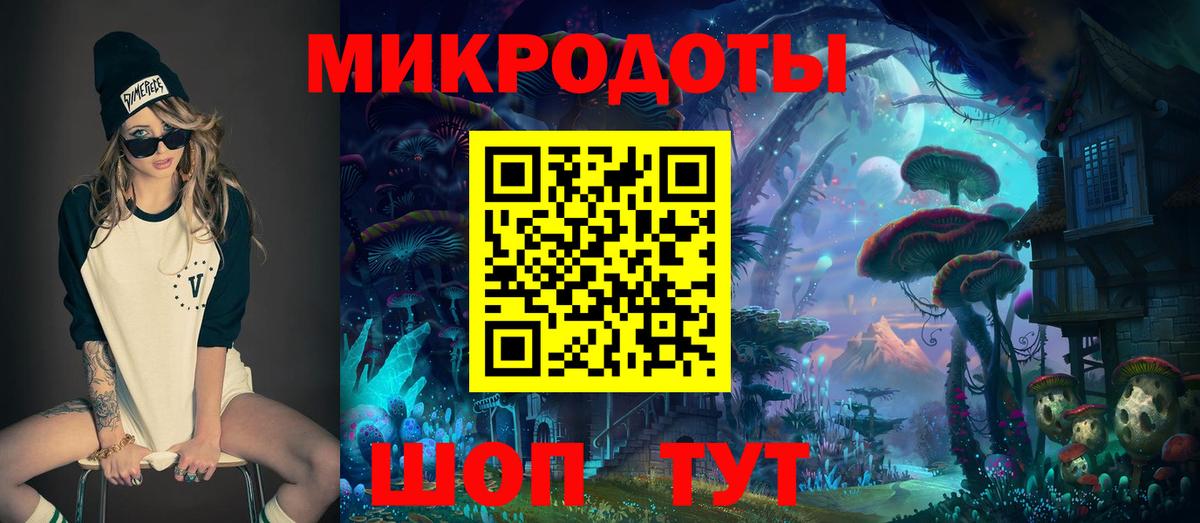 Псилоцибиновые грибы Psilocybe Кузнецк