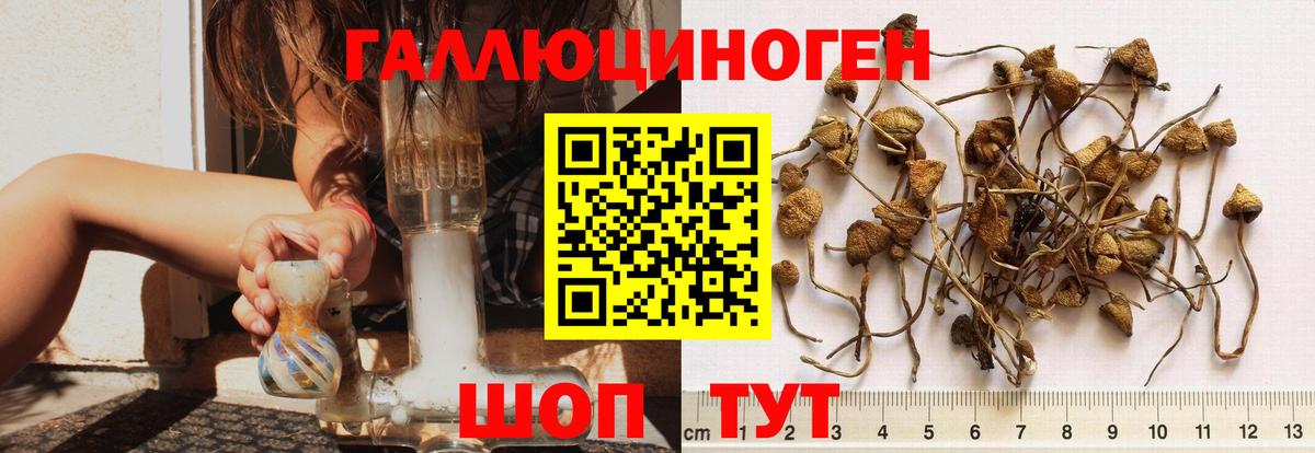 Псилоцибиновые грибы мухоморы  Вход с VPN  Кузнецк 